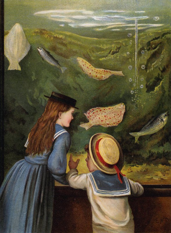 A Visit to the Aquarium by English School