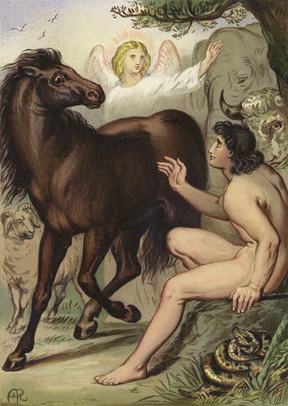 Adam Naming the Animals by English School