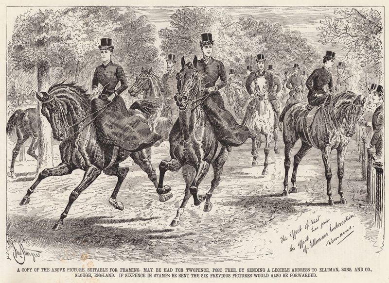 Advertisement, Elliman Embrocation by English School
