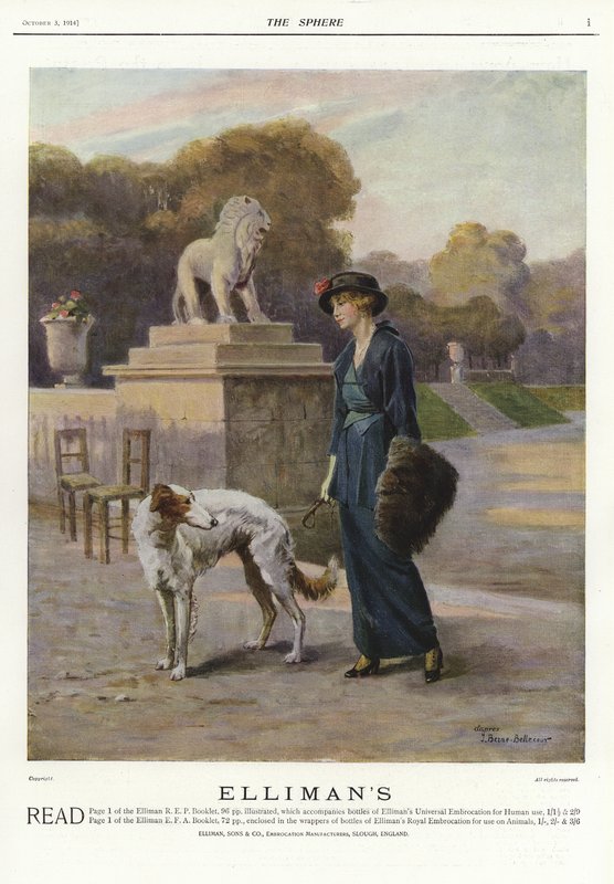 Advertisement for Ellimans Universal Embrocation by English School