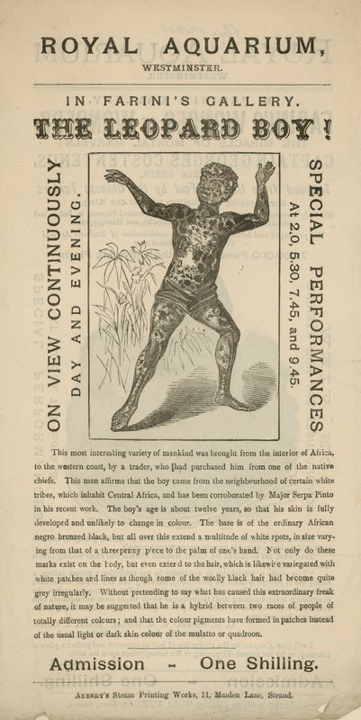 Advertisement for The Leopard Boy by English School