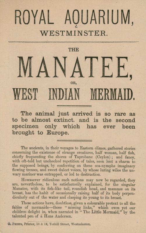 Advertisement for the Manatee by English School