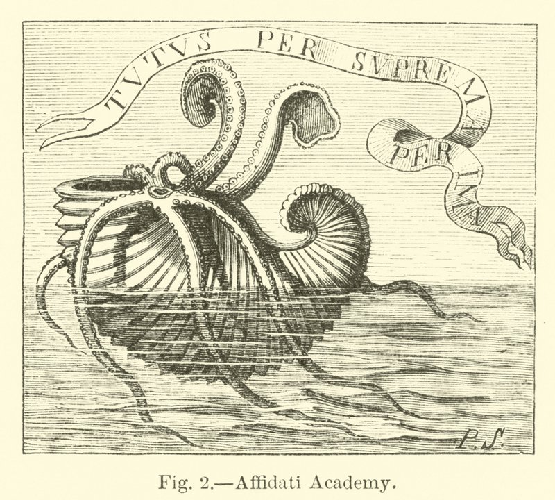 Affidati Academy by English School