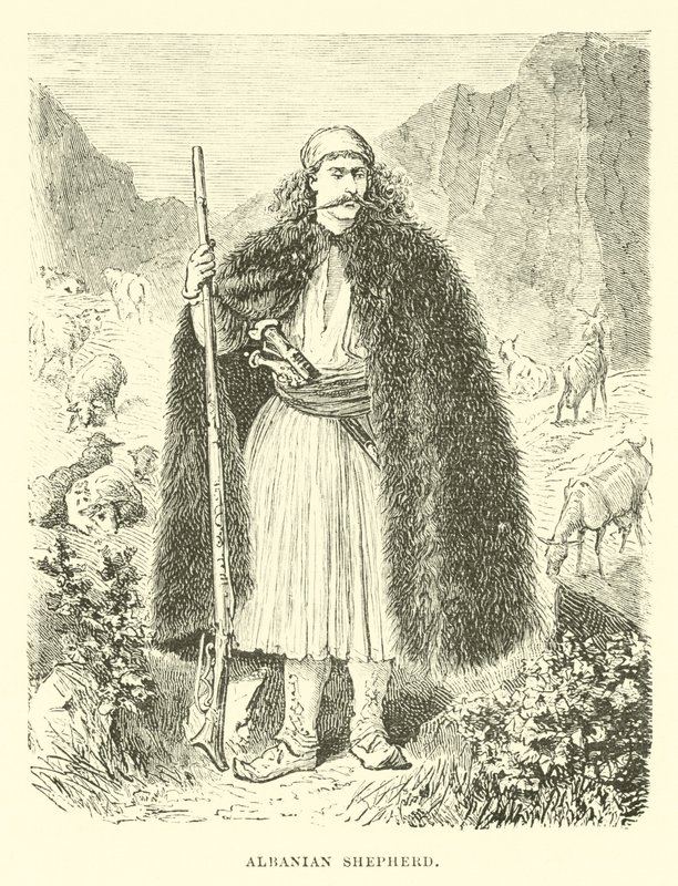 Albanian Shepherd by English School