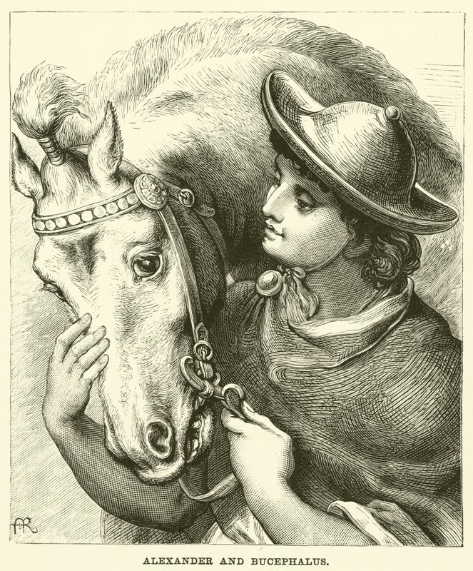 Alexander and Bucephalus by English School