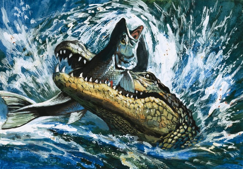 Alligator Eating Fish by English School