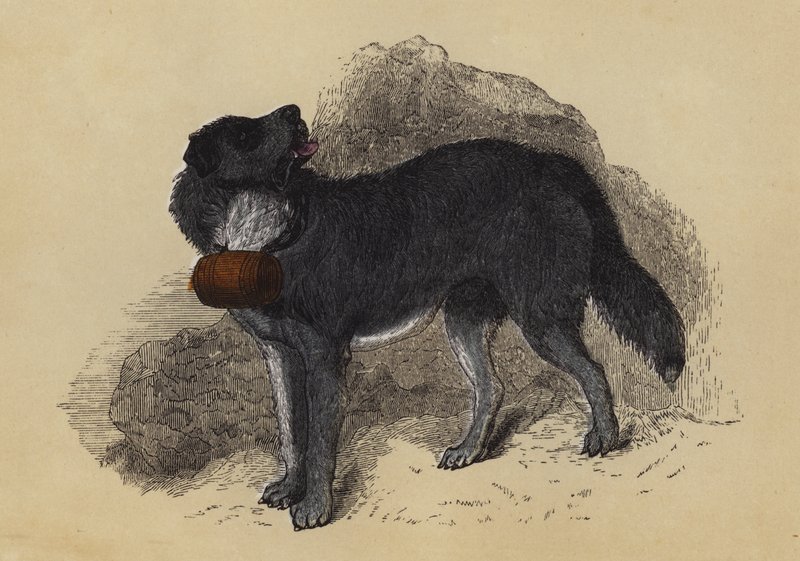 Alpine Mastiff by English School