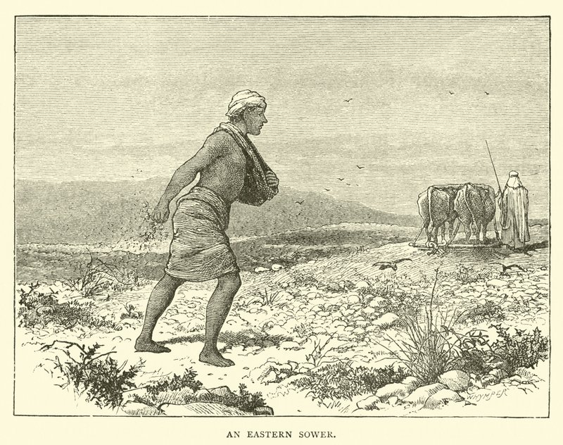 An Eastern Sower by English School