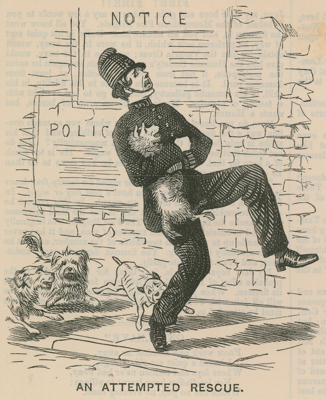 An Attempted Rescue by English School