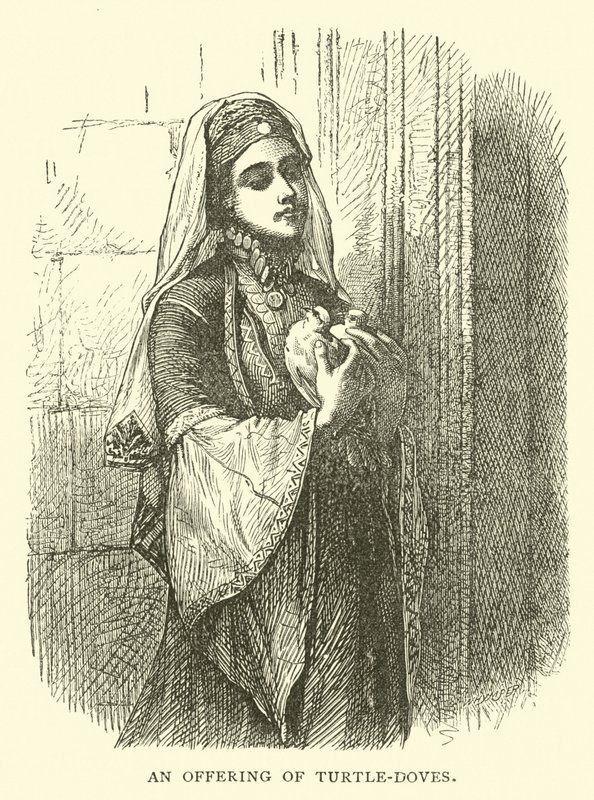 An offering of Turtle-doves by English School