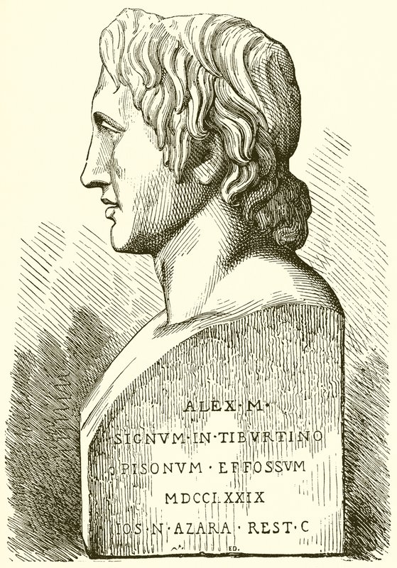 Ancient Bust of Alexander the Great by English School