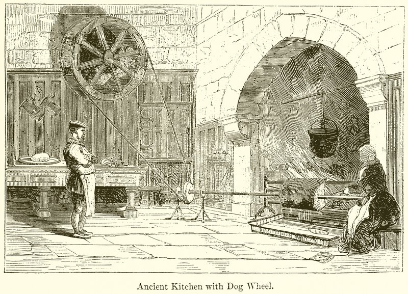 Ancient Kitchen with Dog Wheel by English School