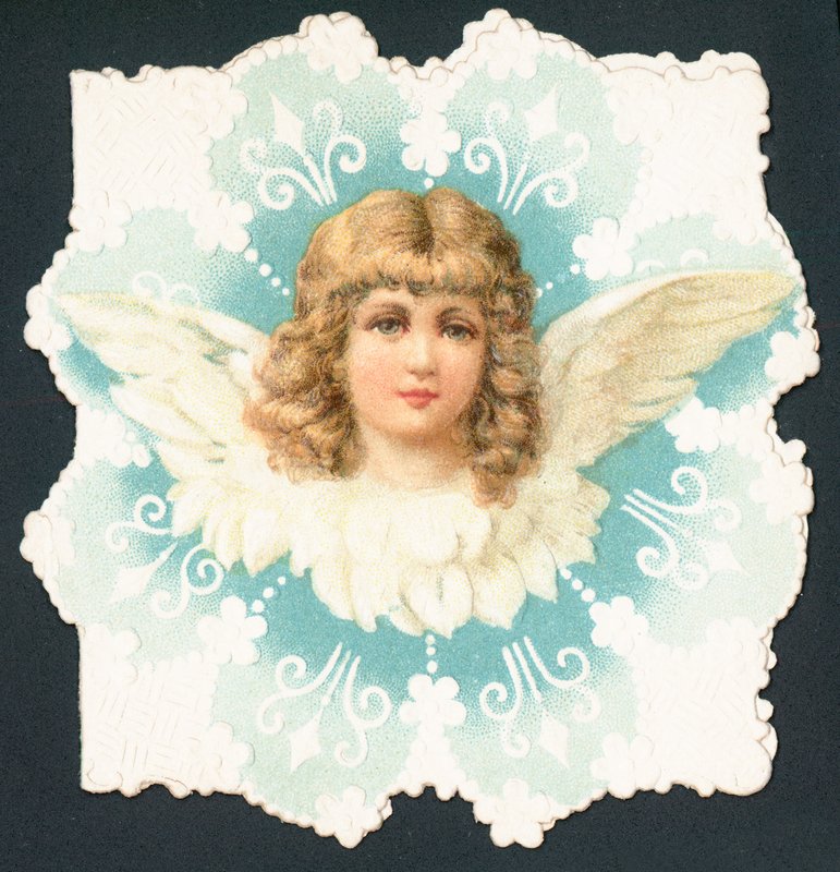 Angel Face by English School