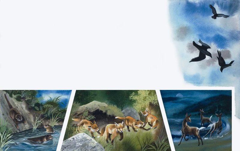 Animals at Play by English School