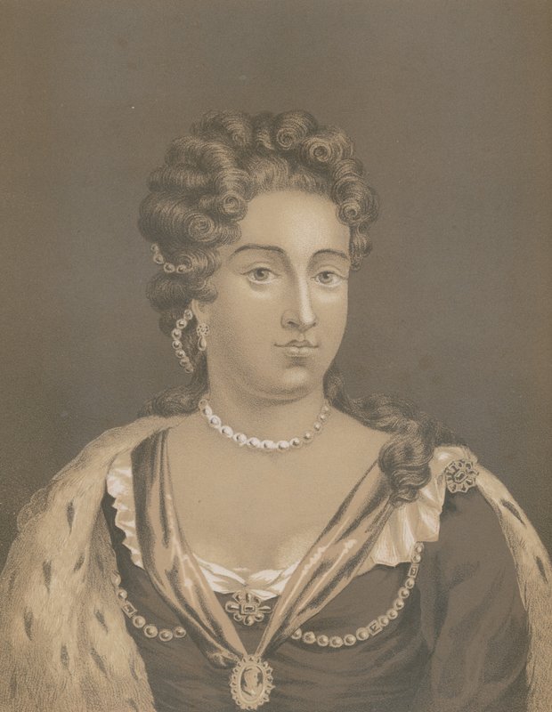 Anne by English School