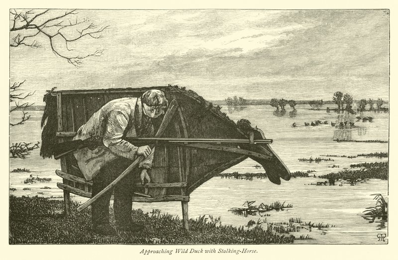 Approaching Wild Duck with Stalking-Horse by English School