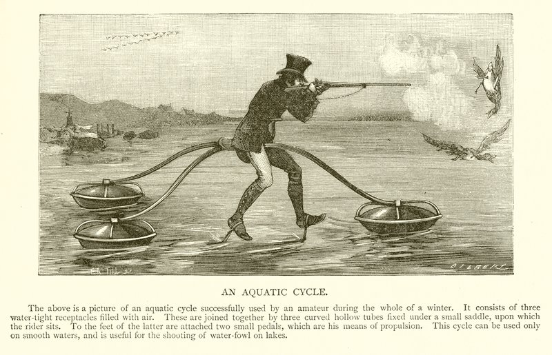 Aquatic Cycle by English School