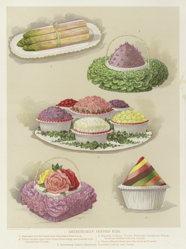 Artistically Served Ices by English School