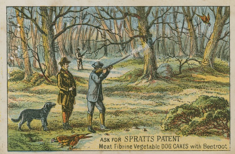 Ask for Spratts Patent by English School