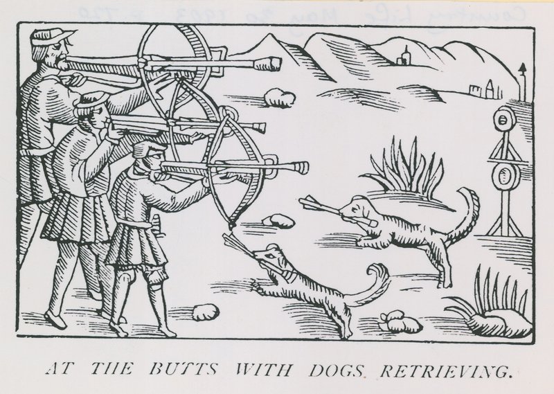 At the Butts with Dogs Retrieving by English School