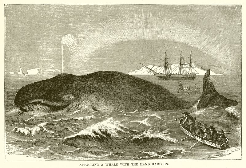 Attacking a Whale with the Hand Harpoon by English School
