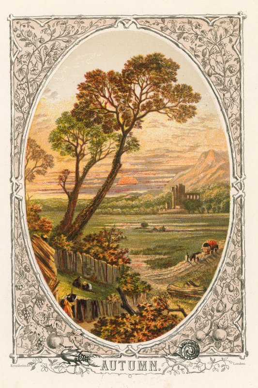 Autumn by English School
