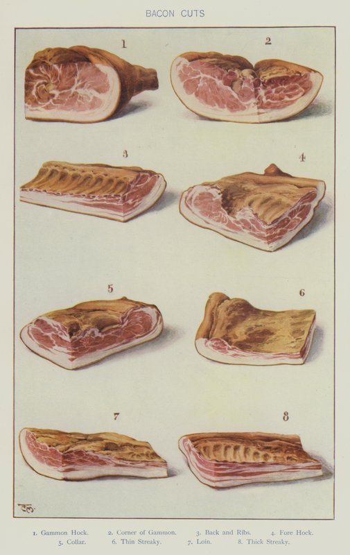 Bacon cuts by English School