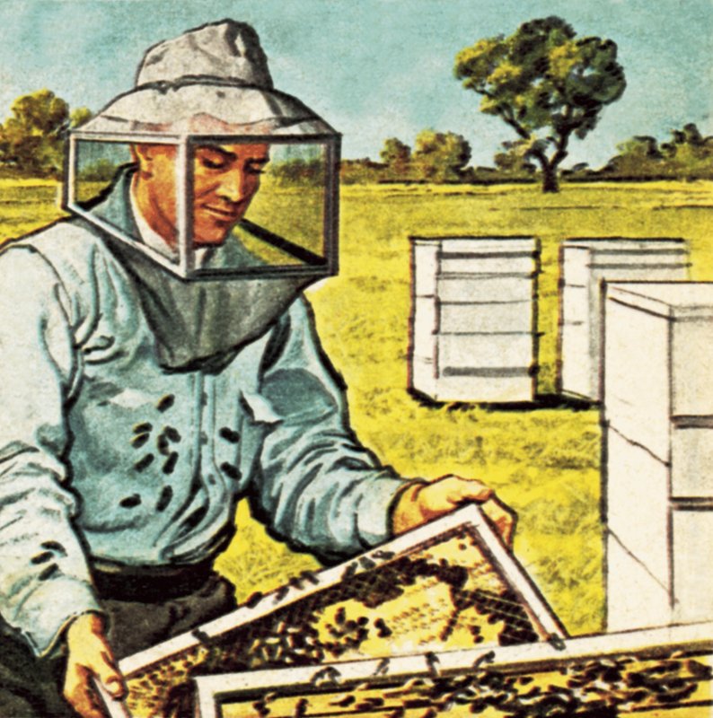 Bee keeper by English School