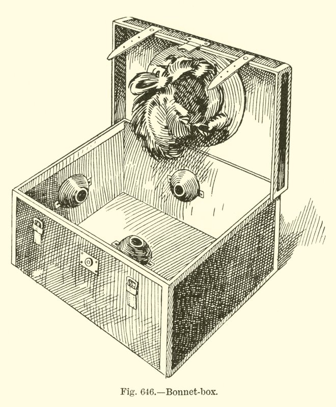 Bonnet-box by English School