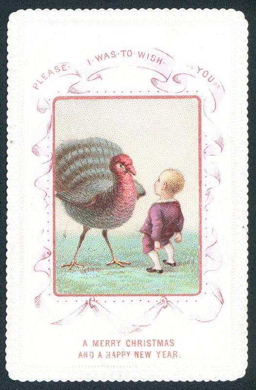 Boy face-to-face with turkey by English School