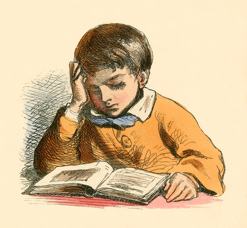 Boy Reading by English School