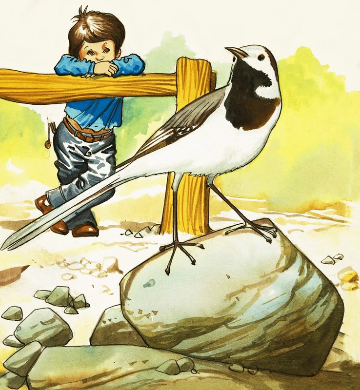 Boy Watching an Unidentified Bird by English School