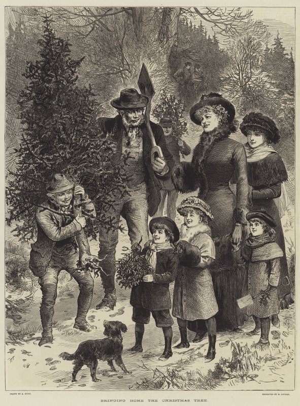 Bringing Home The Christmas Tree by English School