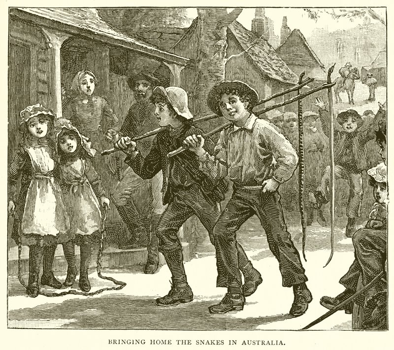 Bringing Home the Snakes in Australia by English School