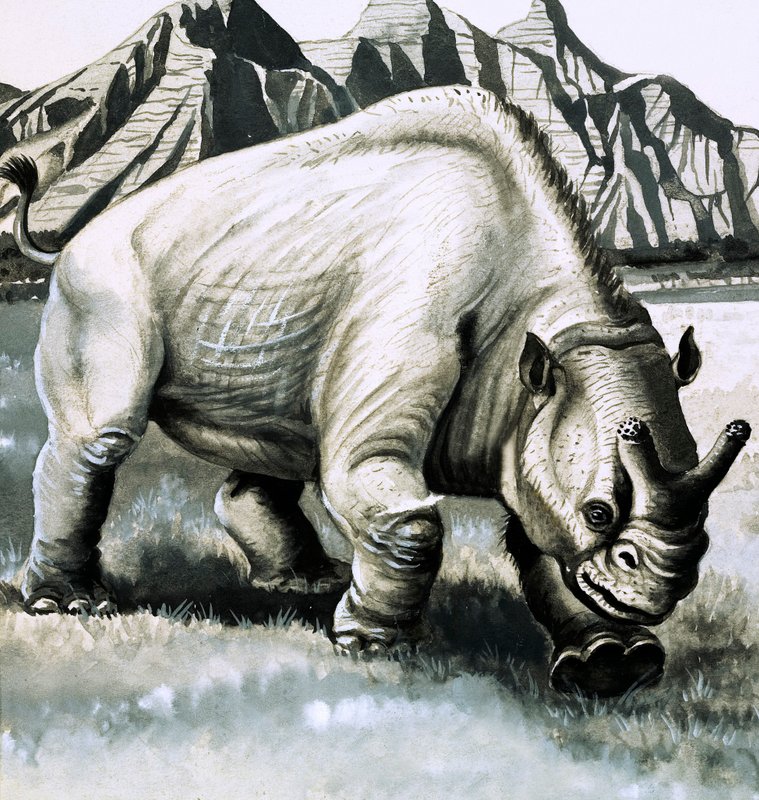 Brontotherium from the Oligocene Age by English School