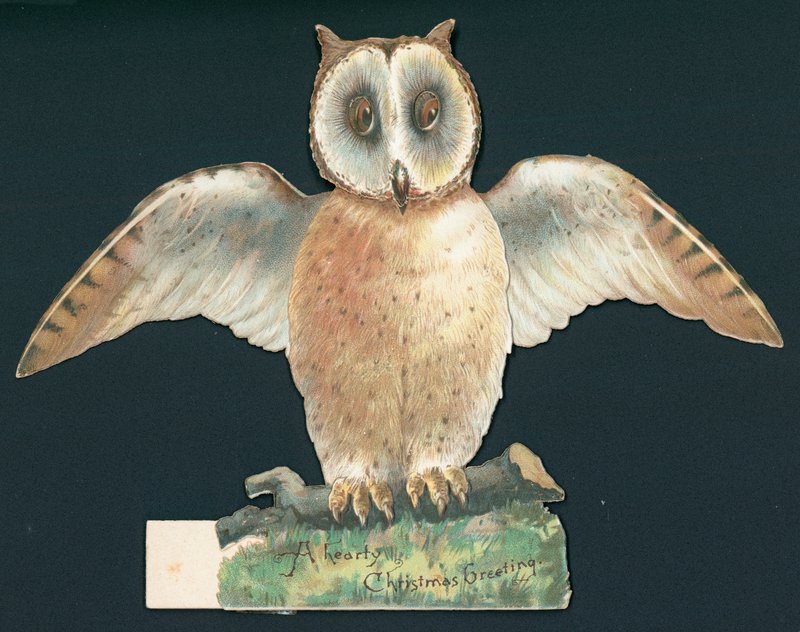 Brown Owl with Wings Open, Christmas Card by English School