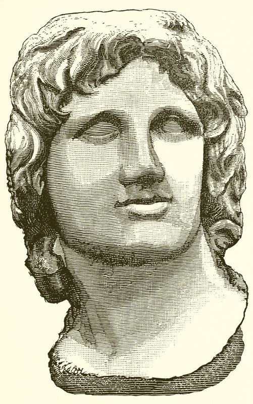 Bust of Alexander the Great by English School