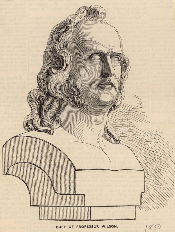 Bust of Professor Wilson by English School