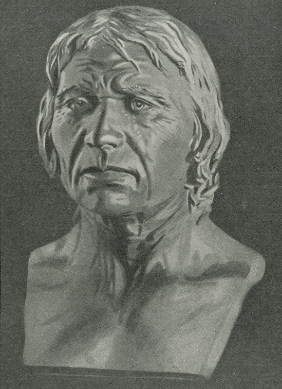 Bust of a Cro-Magnon man by English School