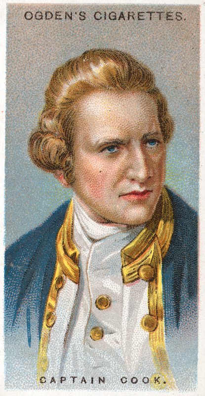 Captain Cook by English School