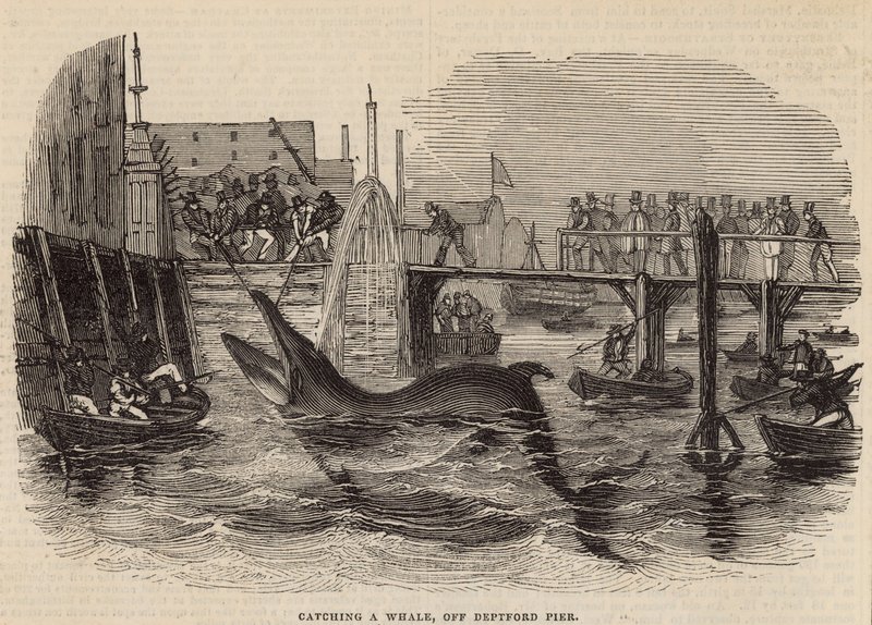 Catching a Whale off Deptford Pier by English School