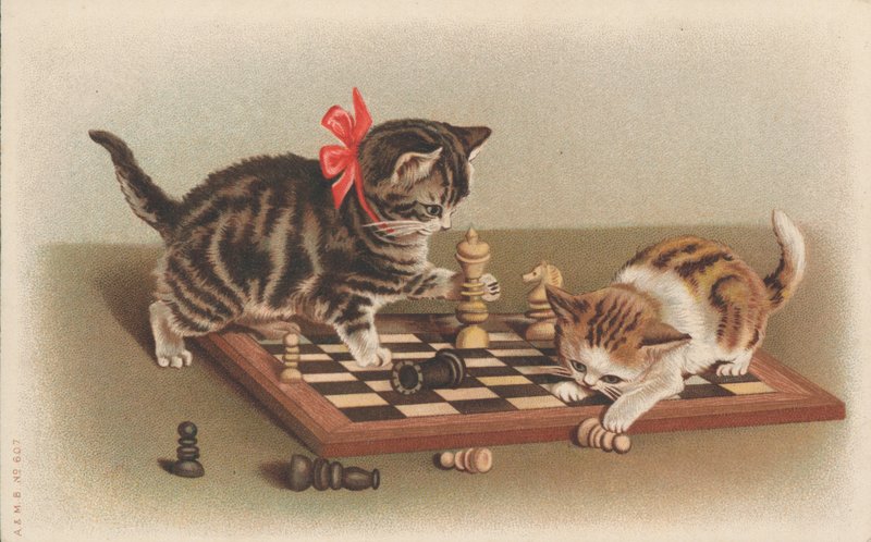 Cats Playing Chess by English School