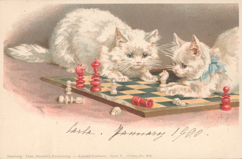 Cats Playing Chess by English School