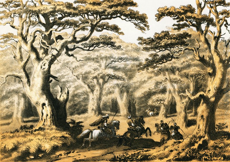 Cedars of Lebanon by English School