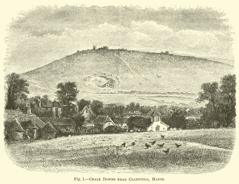 Chalk Downs near Clanfield, Hants by English School