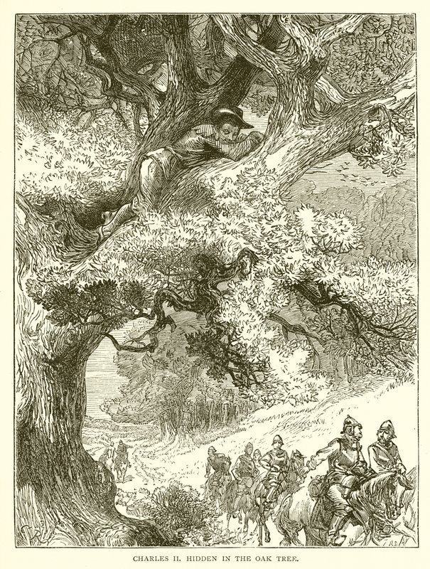 Charles II Hidden in the Oak Tree by English School