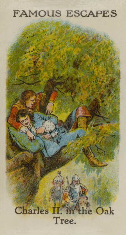 Charles II, in the Oak Tree by English School