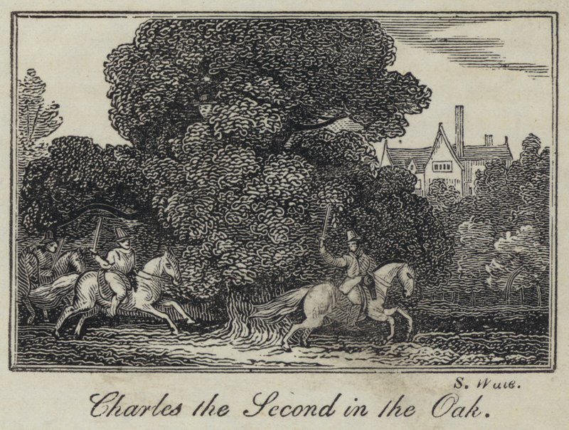 Charles the Second in the Oak by English School