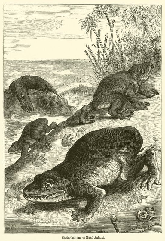 Cheirotherium, or Hand-Animal by English School