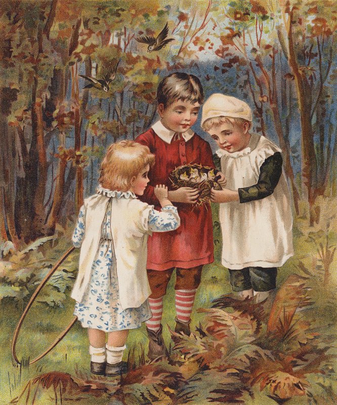 Children finding a bird